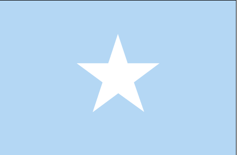 flag with star in center