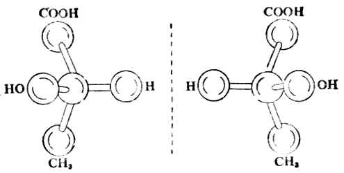 (+)-乳酸及(-)-乳酸的球棒模型