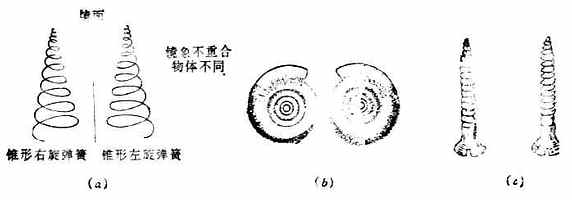 物体与其镜象不能重合（α）右旋弹簧与左旋弹簧；（b）蜗牛壳；(c)左螺纹与右螺纹螺丝钉