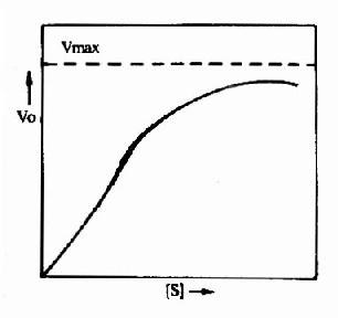 变构酶的底物浓度曲线